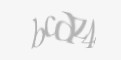 Защитный код